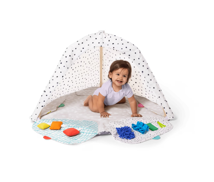 The Play Gym – Stage-Based Developmental Activity Gym & Play Mat for Babies and Toddlers
