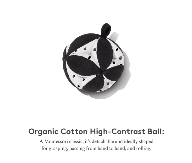 The Play Gym – Stage-Based Developmental Activity Gym & Play Mat for Babies and Toddlers