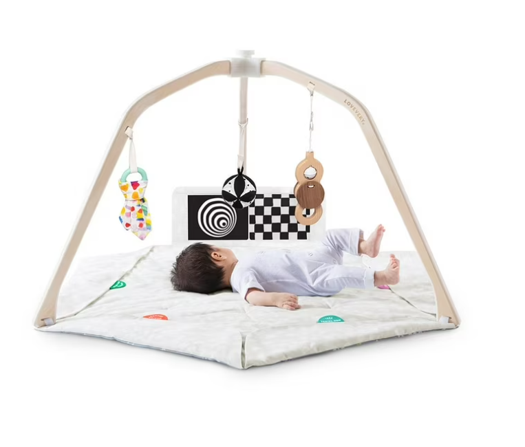 The Play Gym – Stage-Based Developmental Activity Gym & Play Mat for Babies and Toddlers