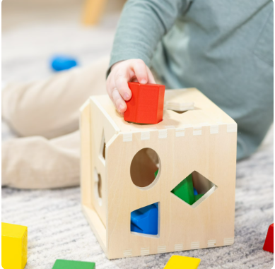 Shape Sorting Cube – Classic Wooden Montessori Toy with 12 Shapes for Early Learning & Motor Skills Development