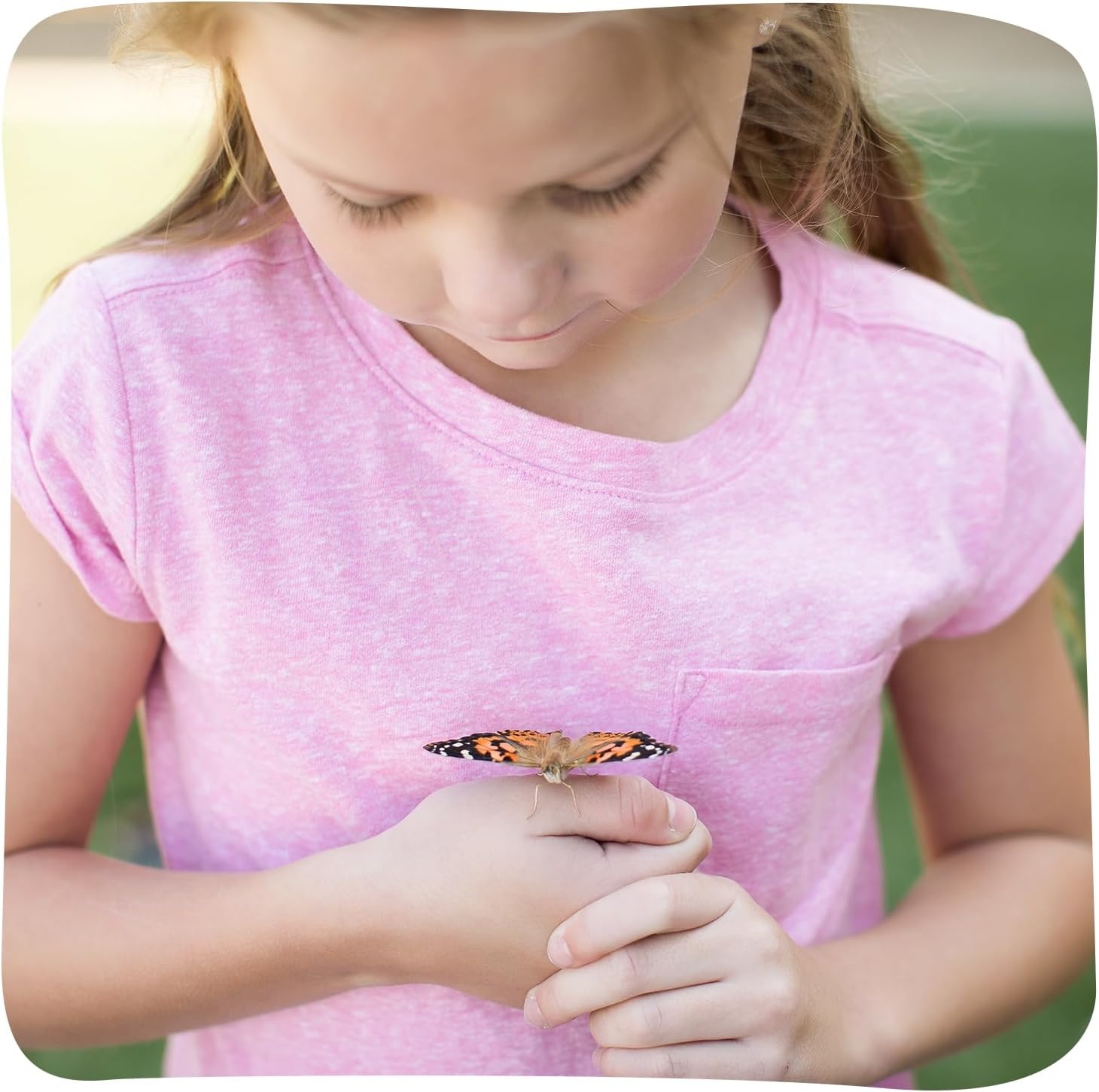 Raise and Release Butterfly Garden Kit – Live Butterfly Growing STEM Educational Set for Kids Science, Nature Learning & Outdoor Exploration