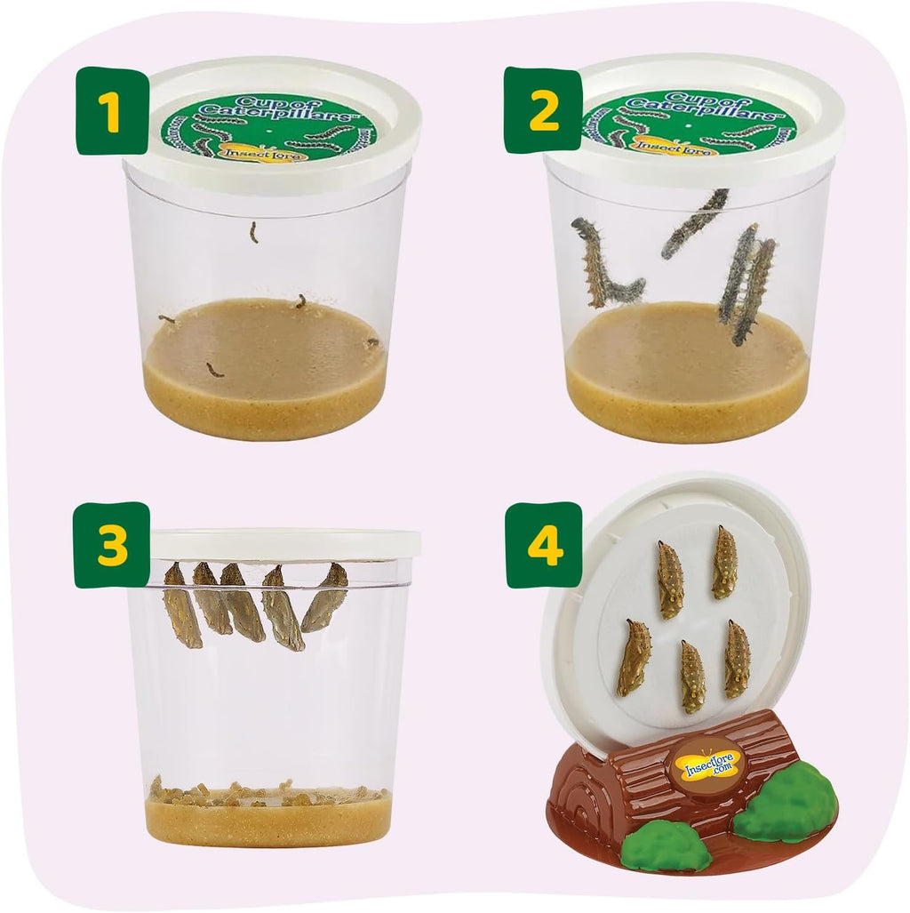Raise and Release Butterfly Garden Kit – Live Butterfly Growing STEM Educational Set for Kids Science, Nature Learning & Outdoor Exploration